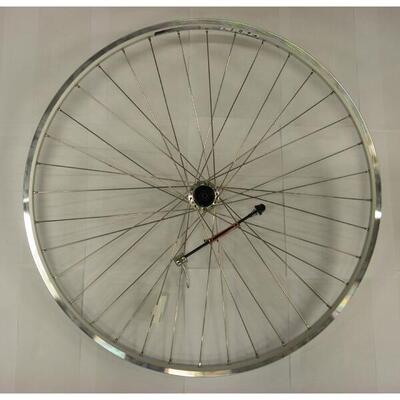 Achterwiel ryde chrina 28 inch 7v 36g velgrem zilver