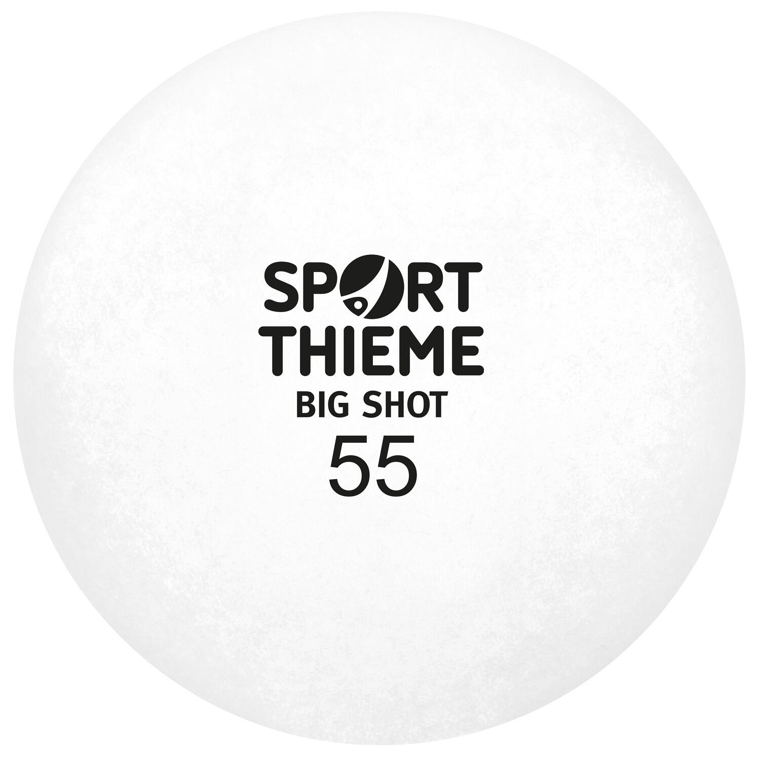SPORT-THIEME picture