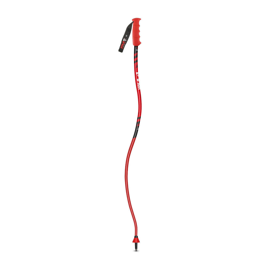 Ski poles Vola Speed