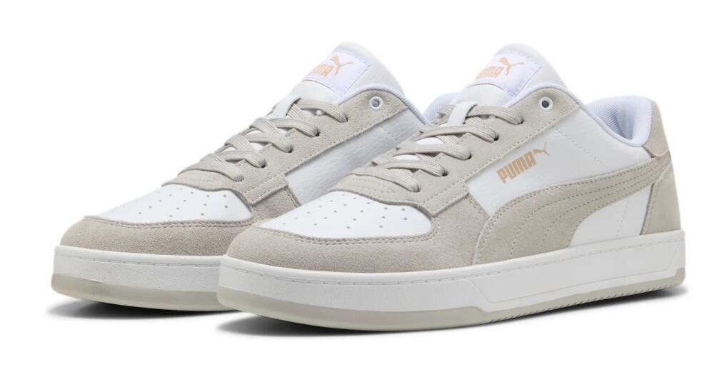 PUMA picture