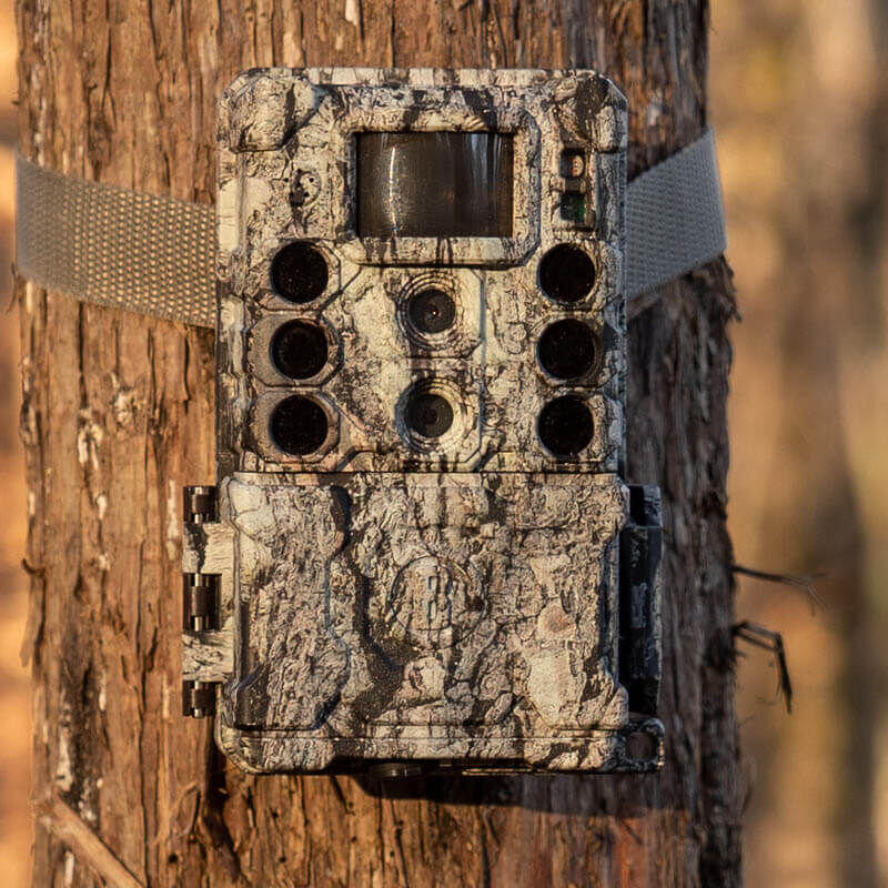 Capteur avec LED Bushnell Core DS 4K 7/7