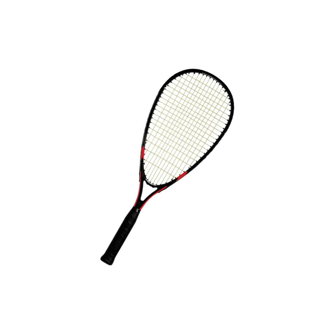 SPEEDMINTON picture