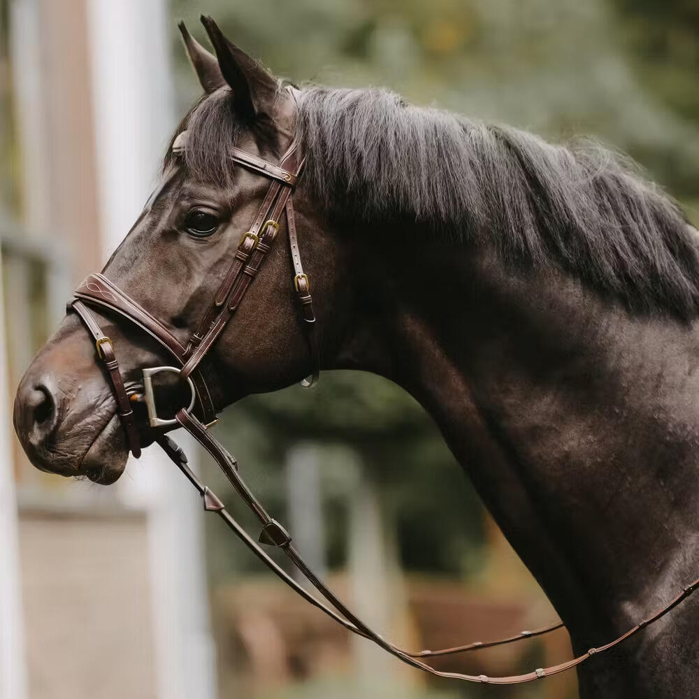 Rênes pour cheval avec boucles en cuir Dy'on Hunter 5/8" 2/3