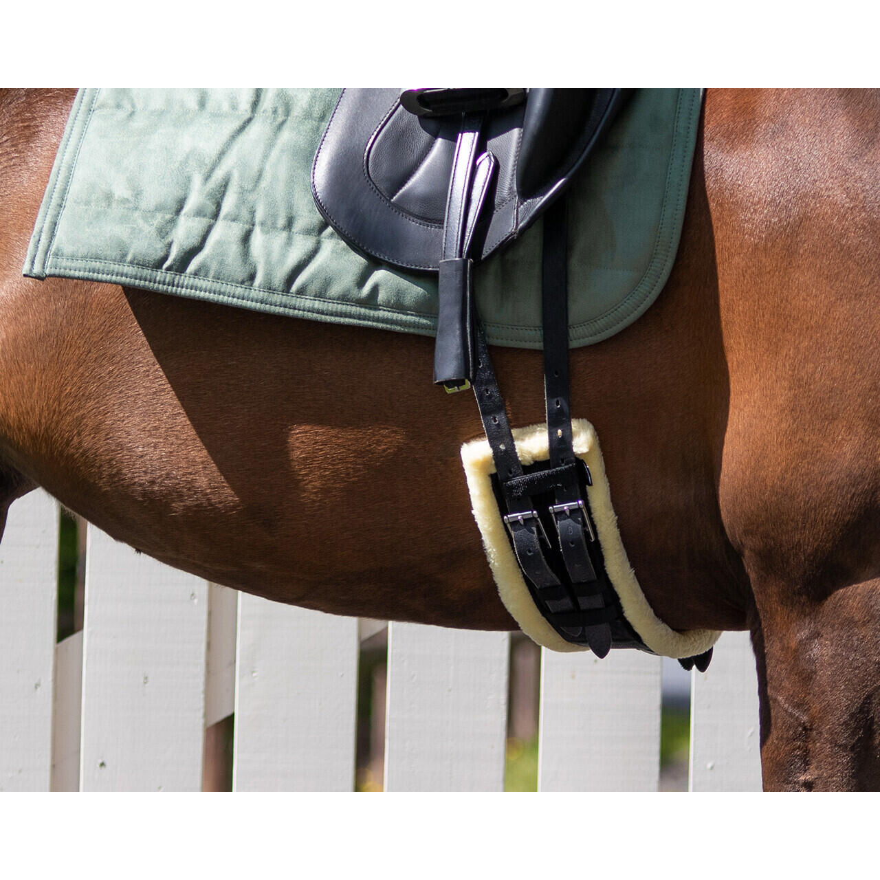 Sangle de dressage d'équitation QHP Ontario 3/3