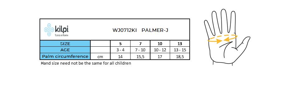 Skiwanten voor kinderen Kilpi PALMER-J 2/2