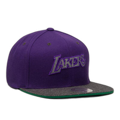 Pet los angeles lakers hwc melange patch