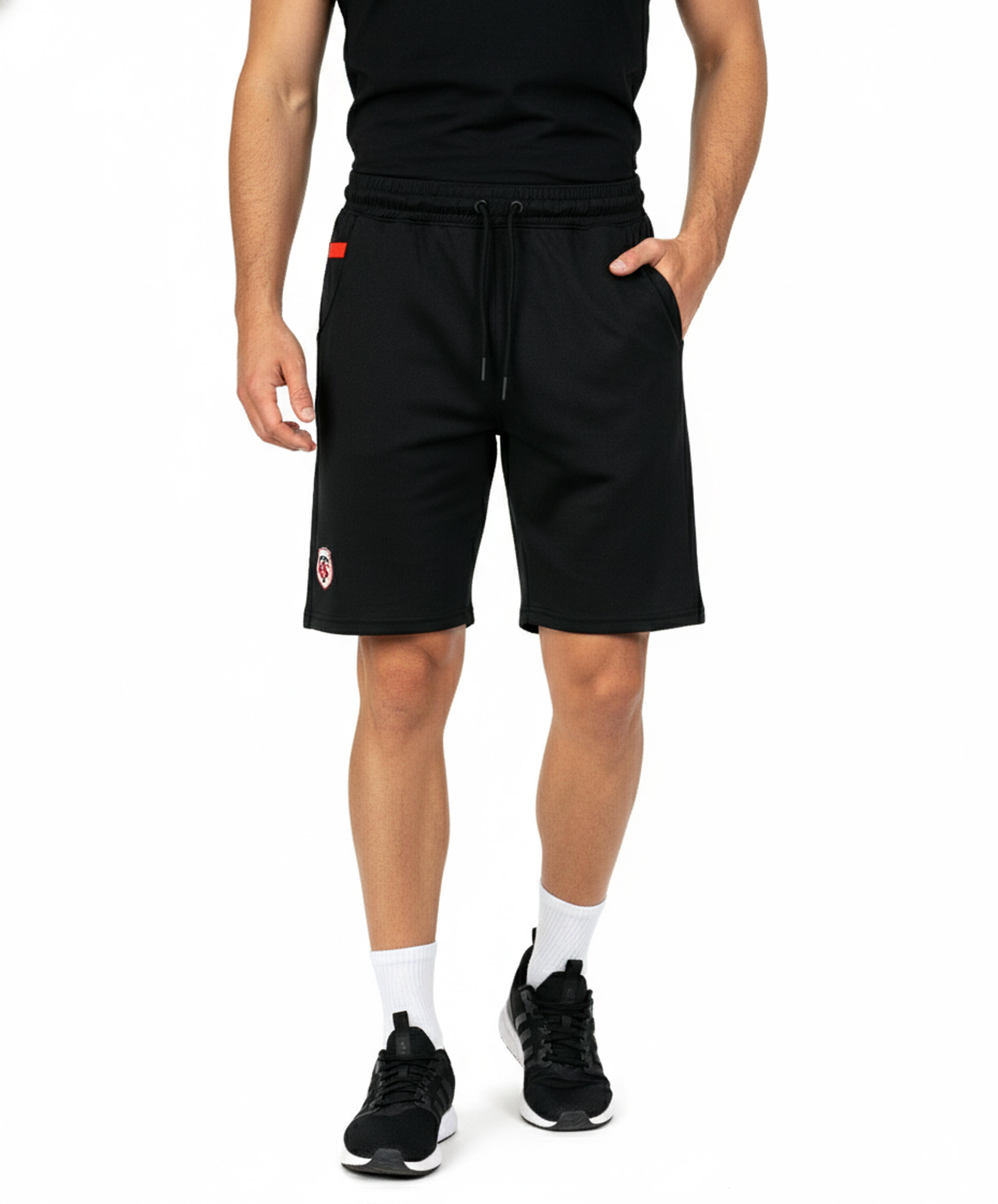 STADE TOULOUSAIN picture