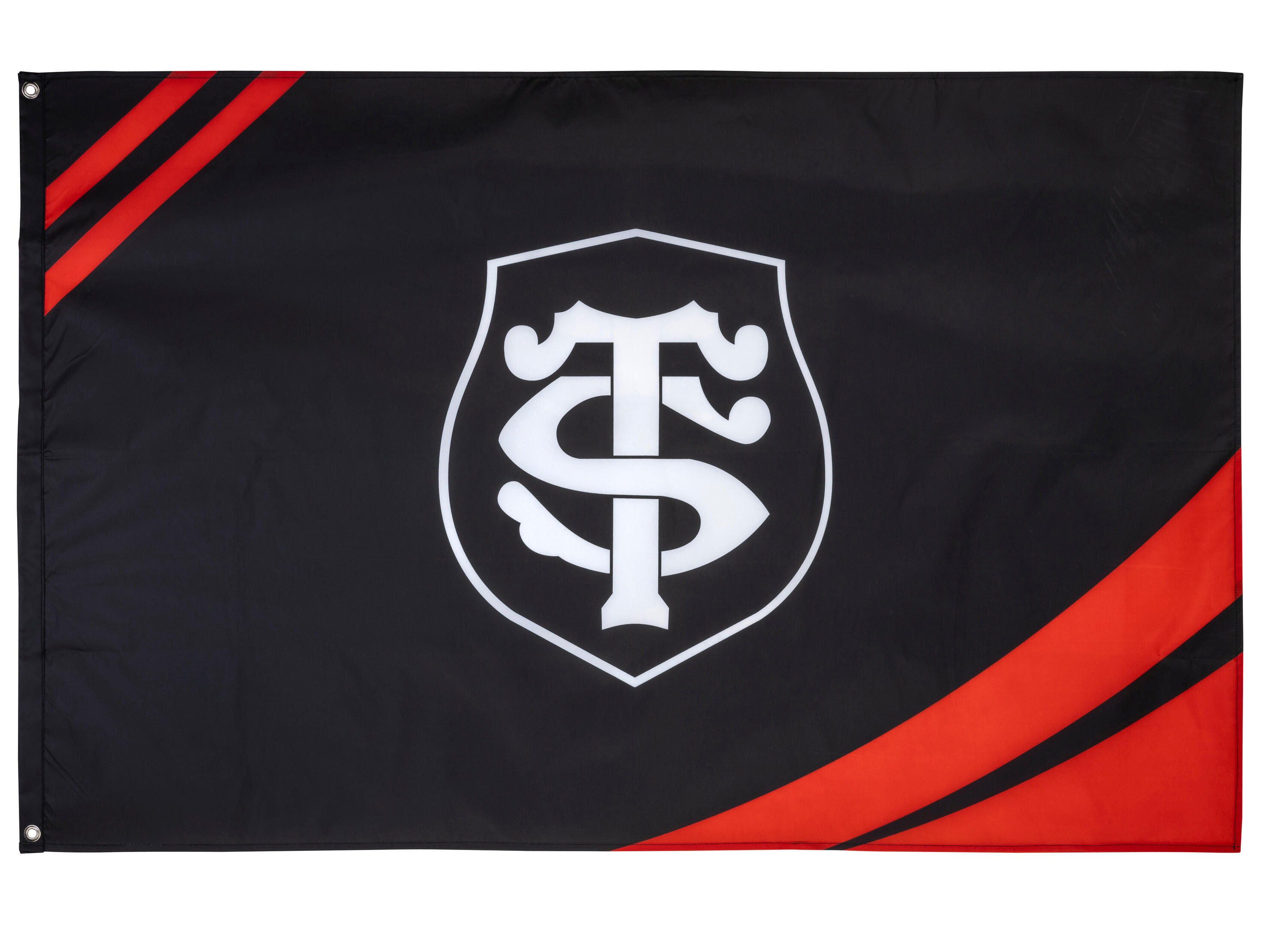 STADE TOULOUSAIN picture