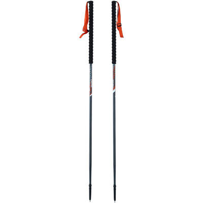 Bastoncini alpinismo Viking Mission (x2)