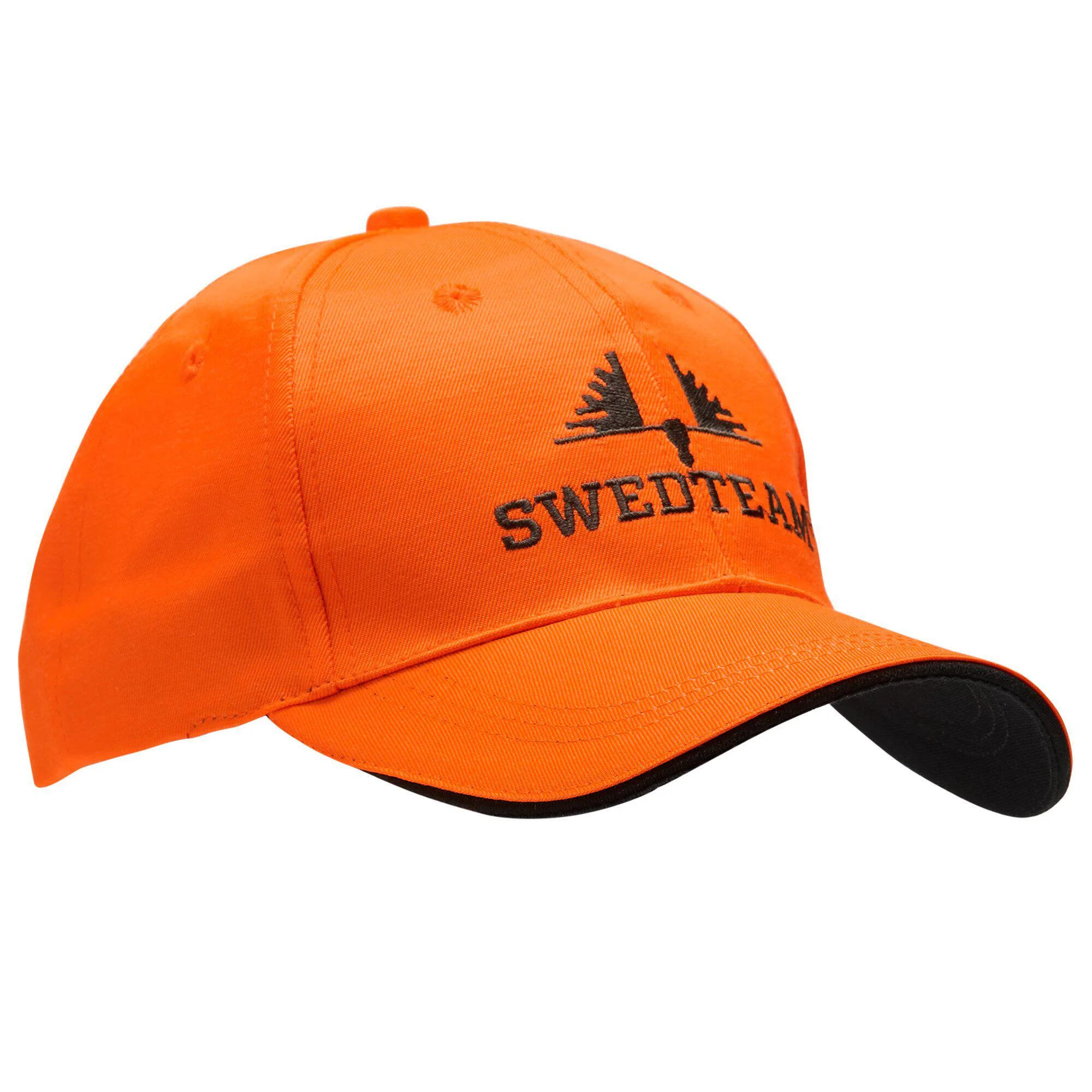 SWEDTEAM picture