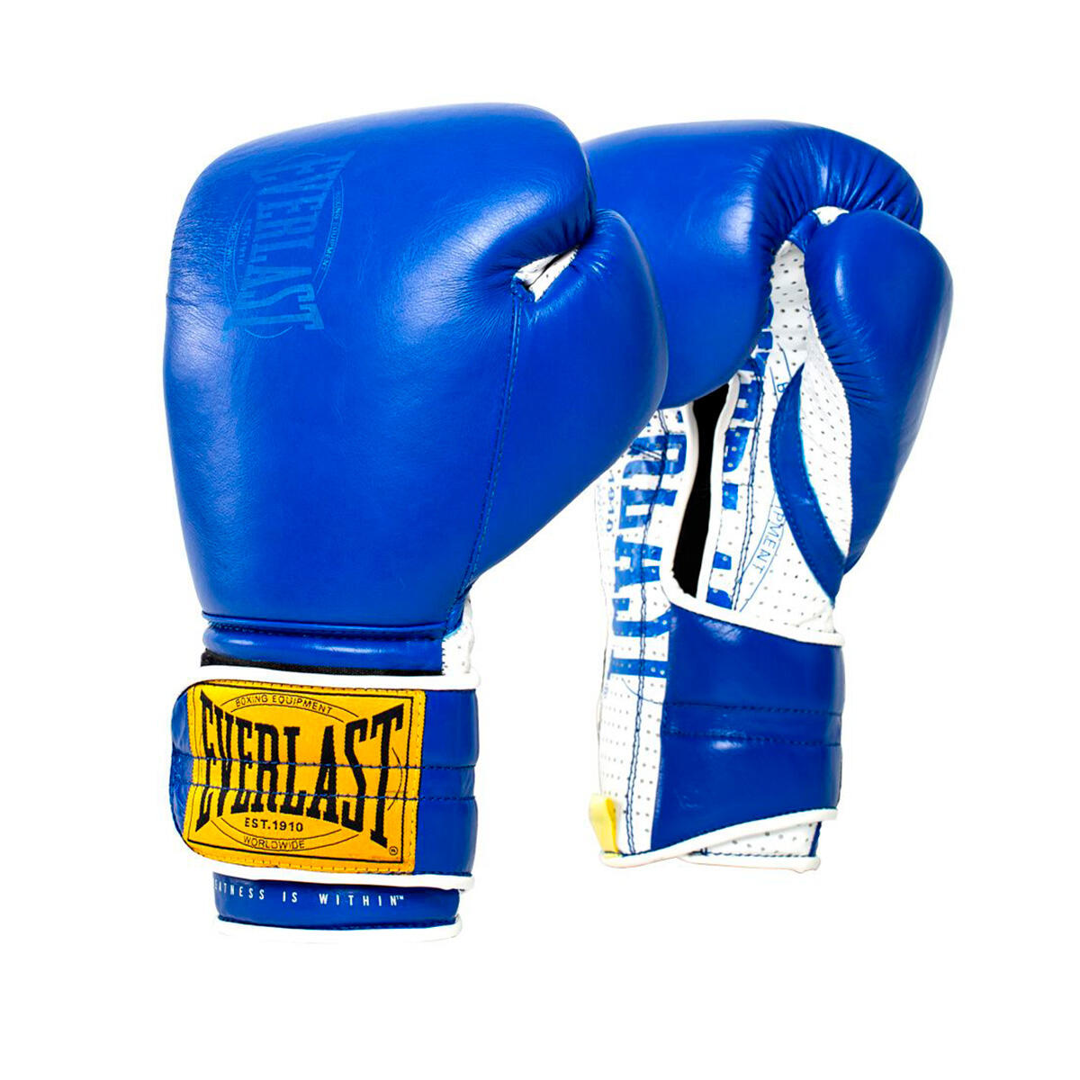 EVERLAST picture