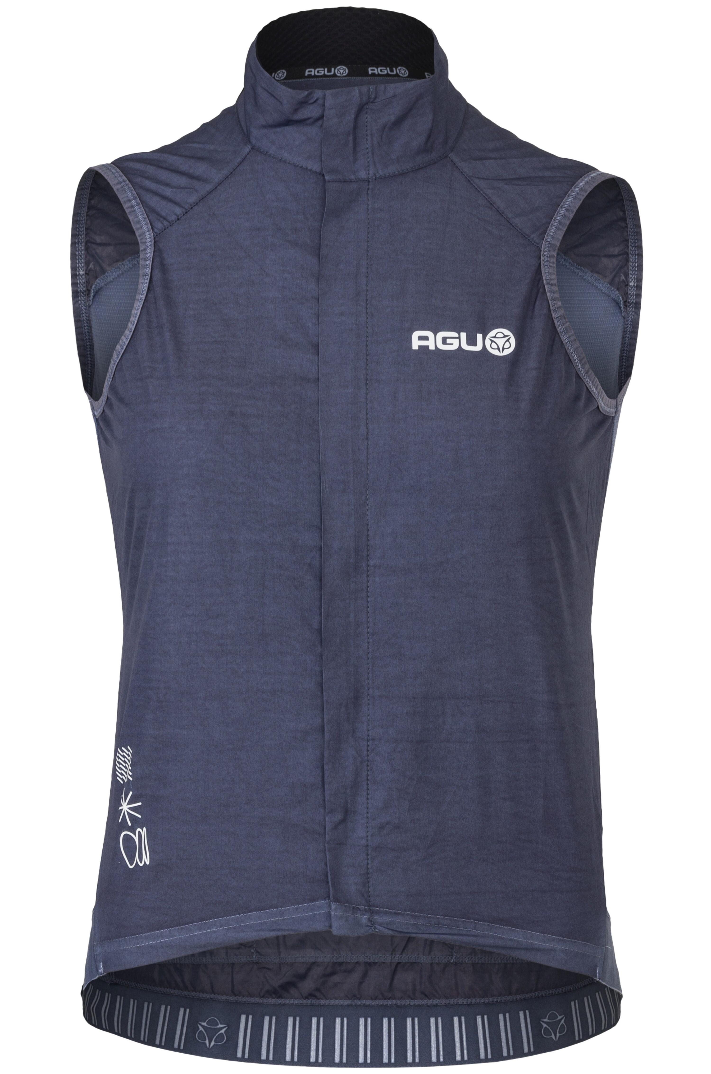 AGU picture