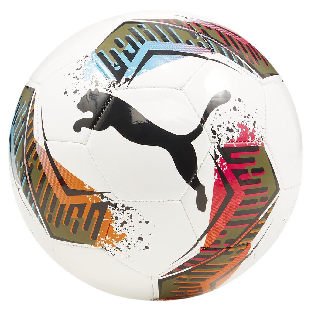 Indoor Football Puma 084344 01 White
