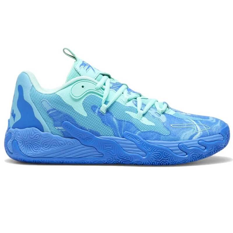 PUMA picture