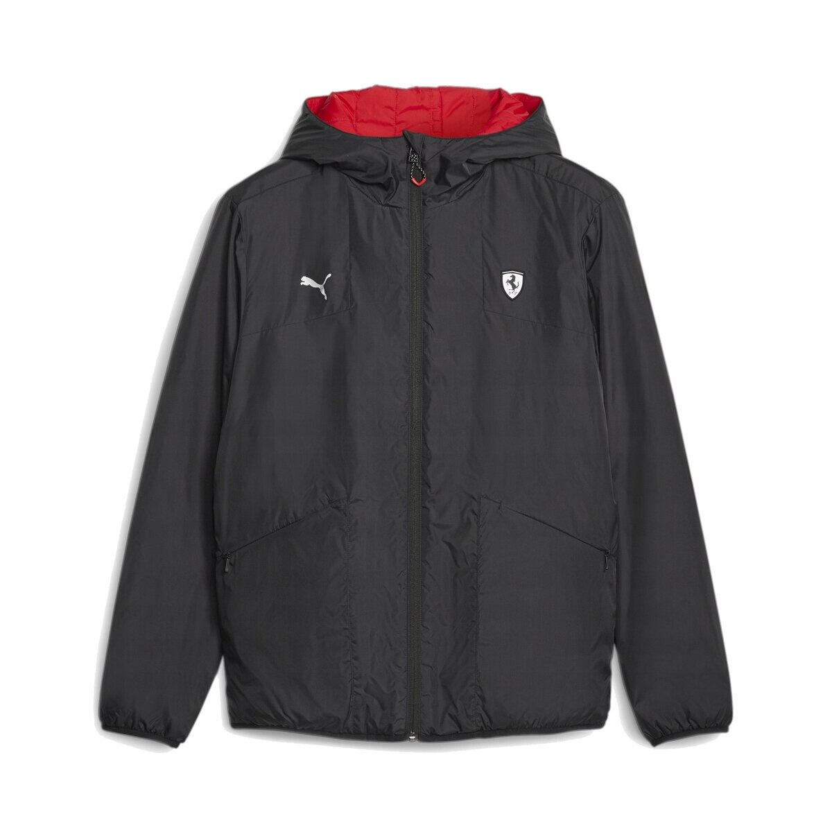 PUMA picture