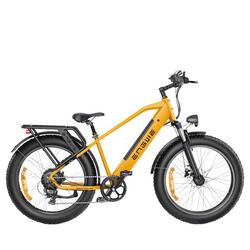 Second Life - Vélo de randonnée Engwe P275 SE gris, taille ML, 250 W, 100 km