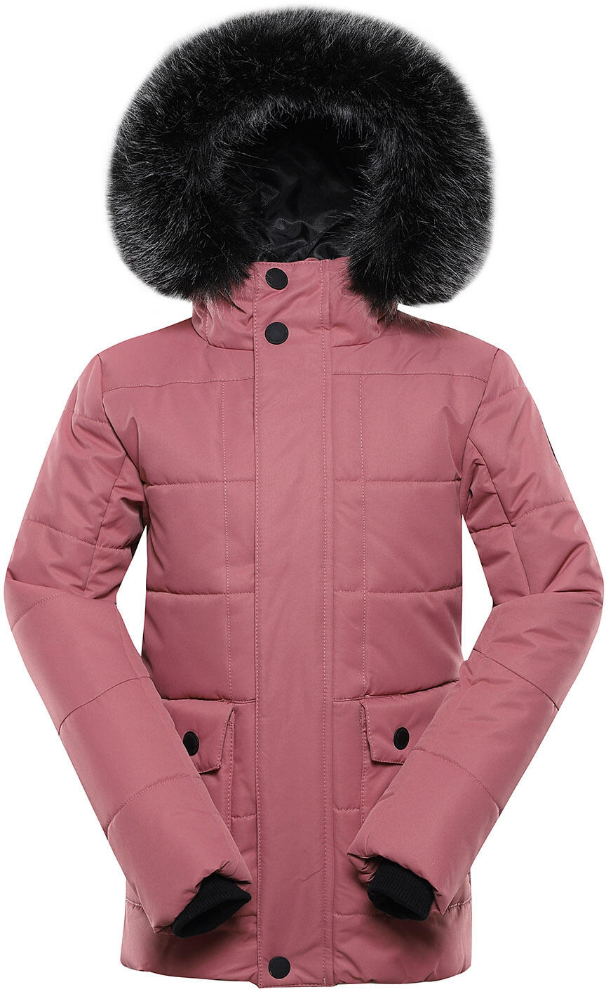 ALPINE PRO picture