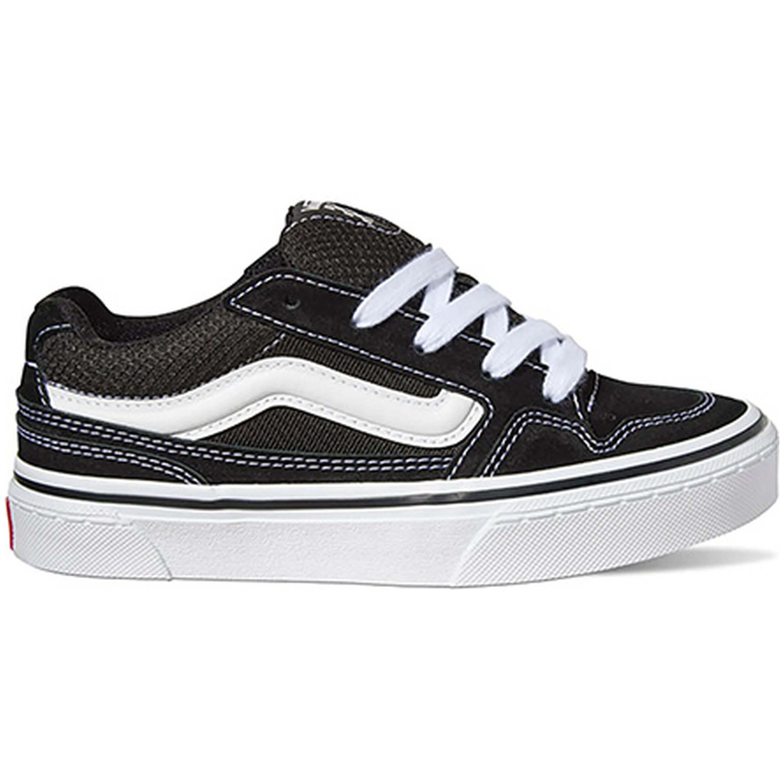 VANS picture