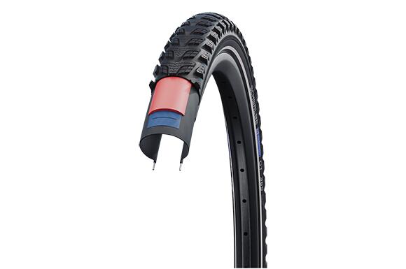 SCHWALBE picture