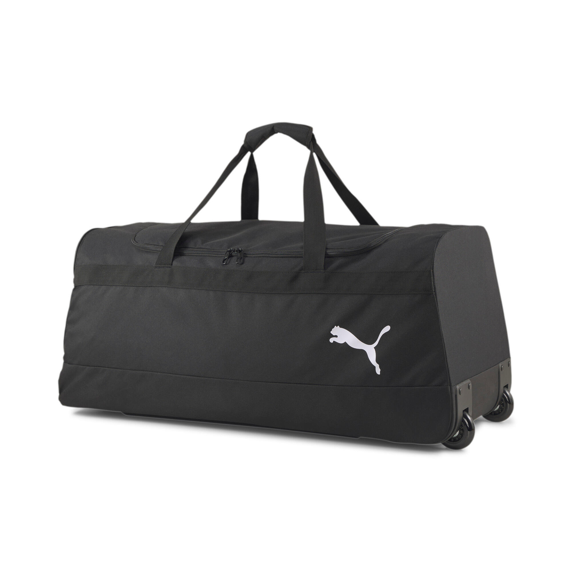 PUMA picture