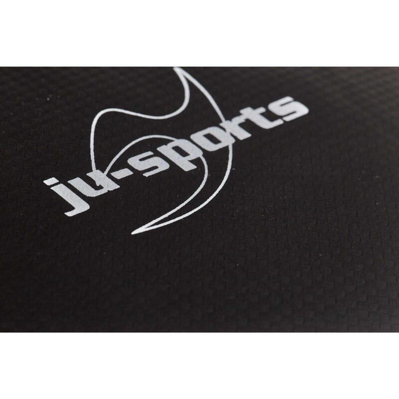 Palmare Ju Sports Duble