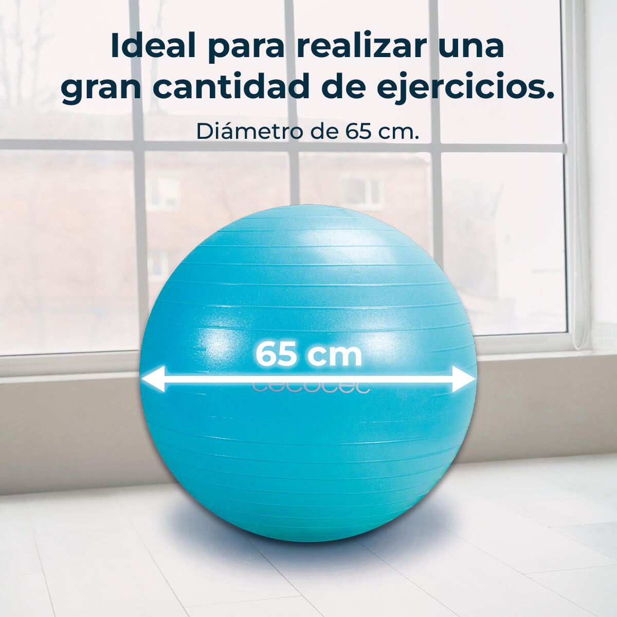 Cecotec Fit Balls DrumFit 65 Fitball 2/6