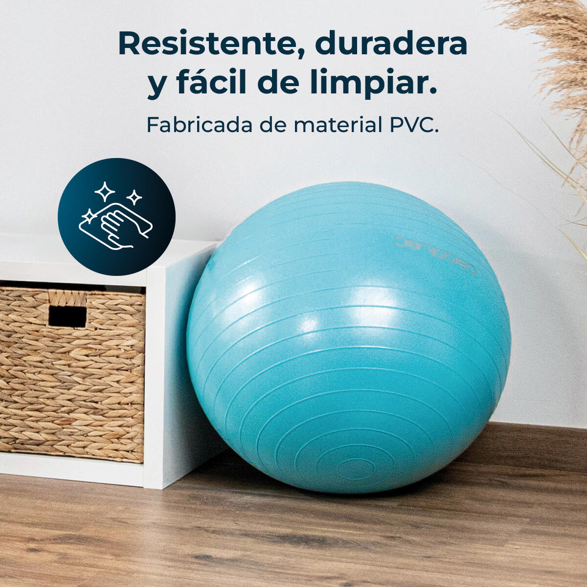 Cecotec Fit Balls DrumFit 65 Fitball 6/6