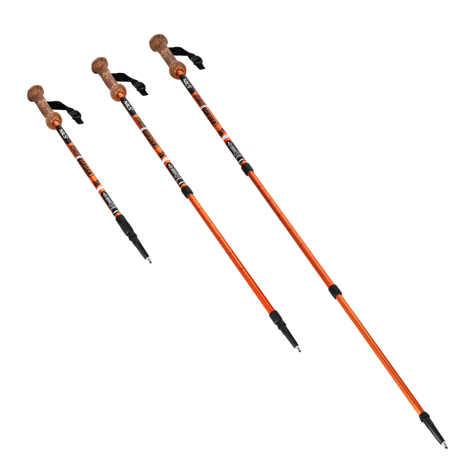 Bâtons de trekking Nils TK696 4/7