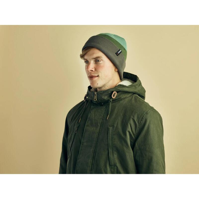 Căciulă SINNER Leduc Beanie, Verde/Gri, Unisex