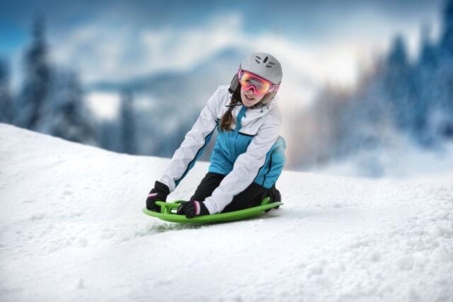 slittino da neve  Meteor 60  rot 4/4