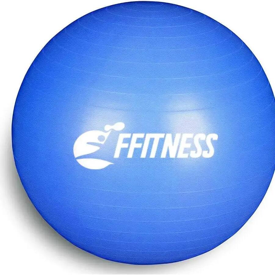 Total Body Balance Ball | Swiss Ball 55 cm FF