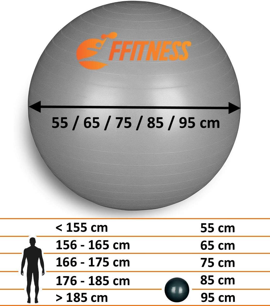 Ballon de Gymnastique Total Body | Swiss Ball 55 cm FF 2/3