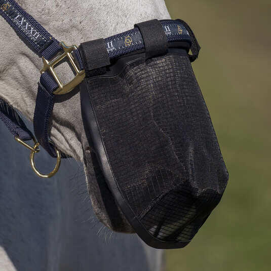 Anti-fly mask for horses Horze 2/2