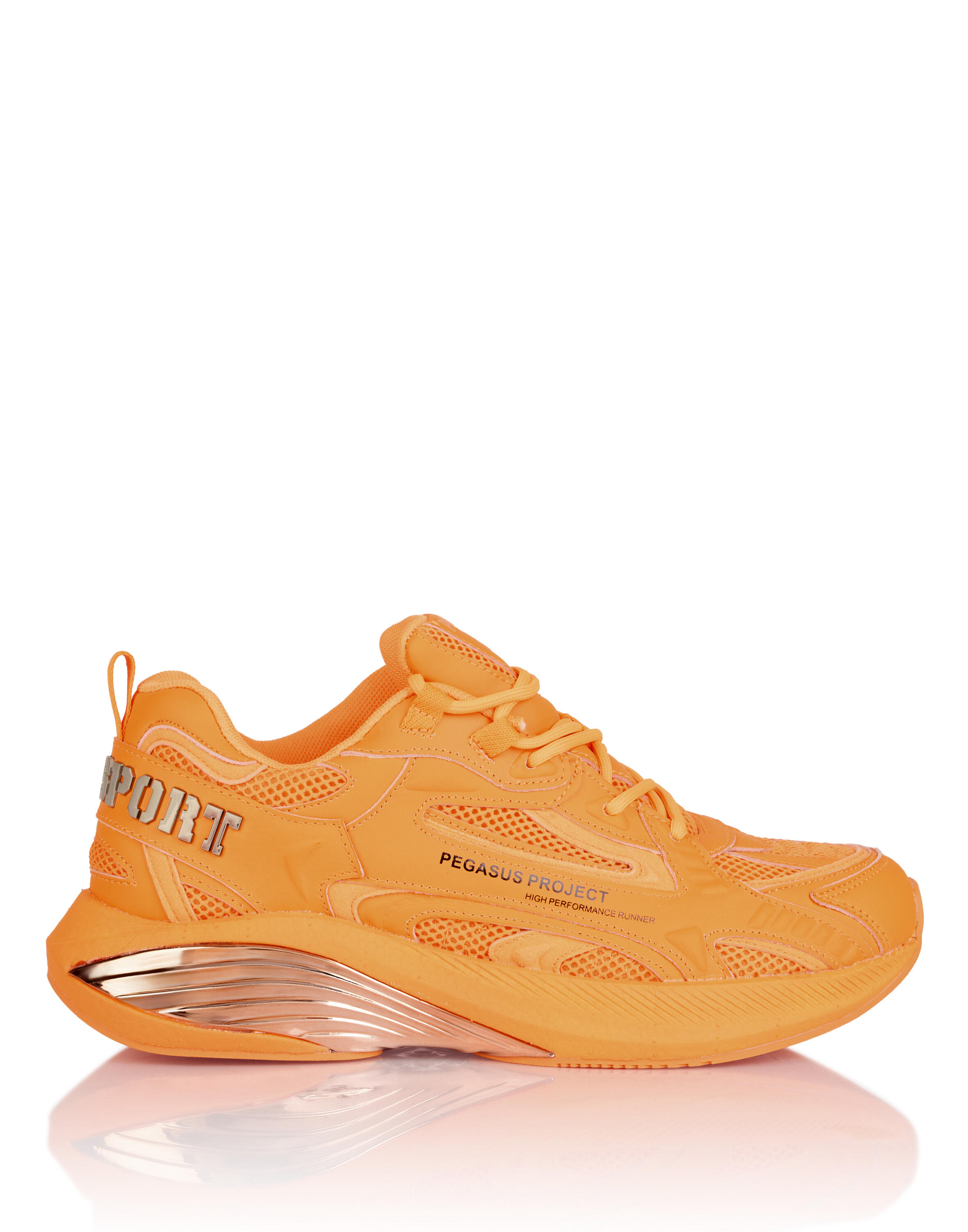Sneakers Pegasus Project 2/4