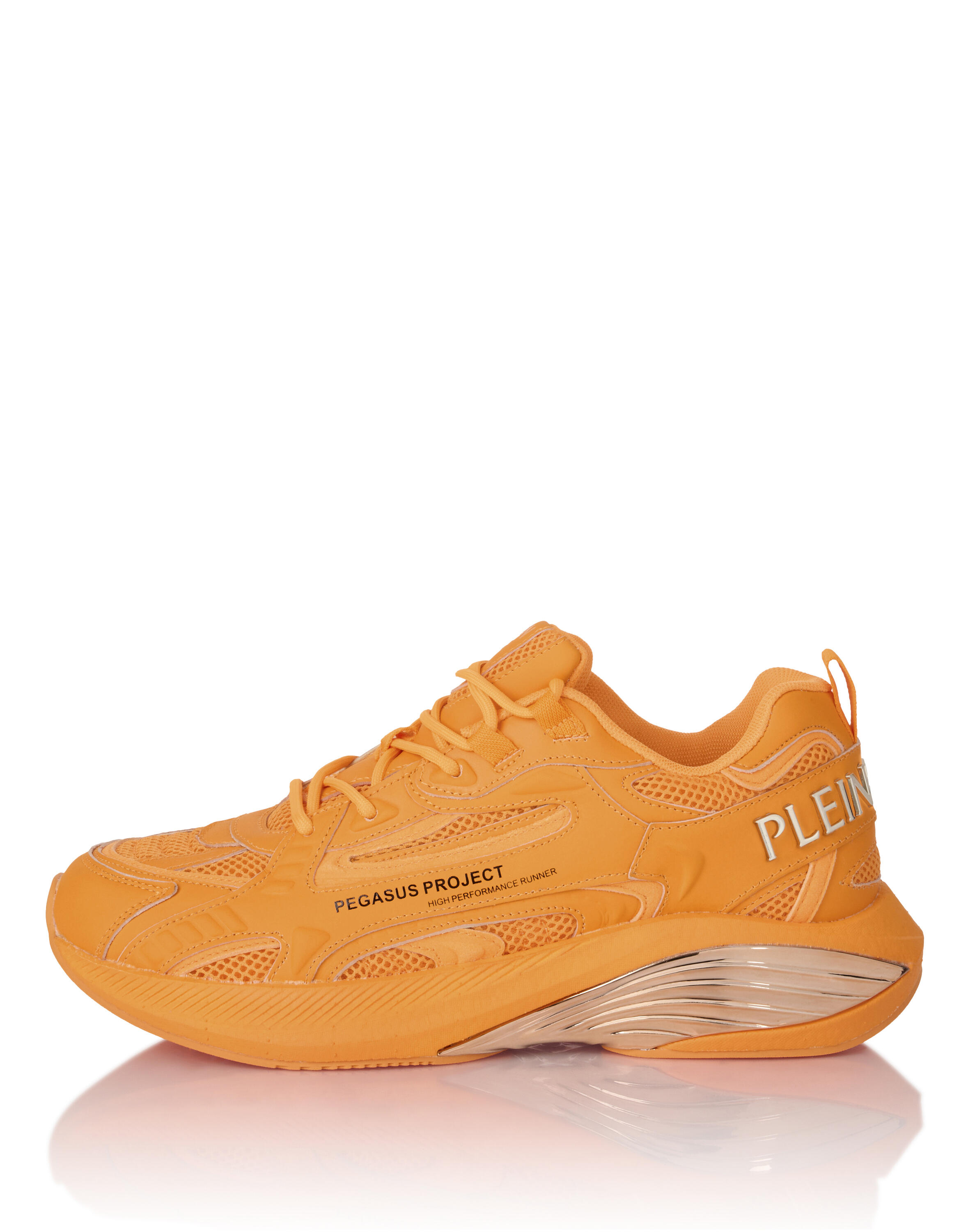 Sneakers Pegasus Project 1/4