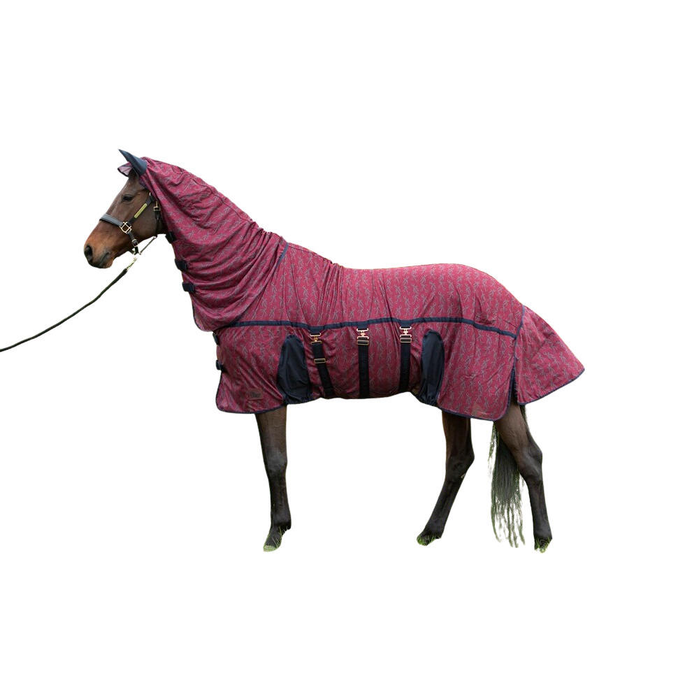 HARRYS HORSE picture