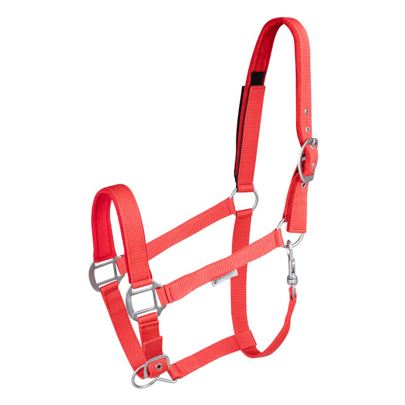 Waldhausen - Licol Pour Poney En Sécurité Waldhausen - Licol - Rouge - Ps - Decathlon