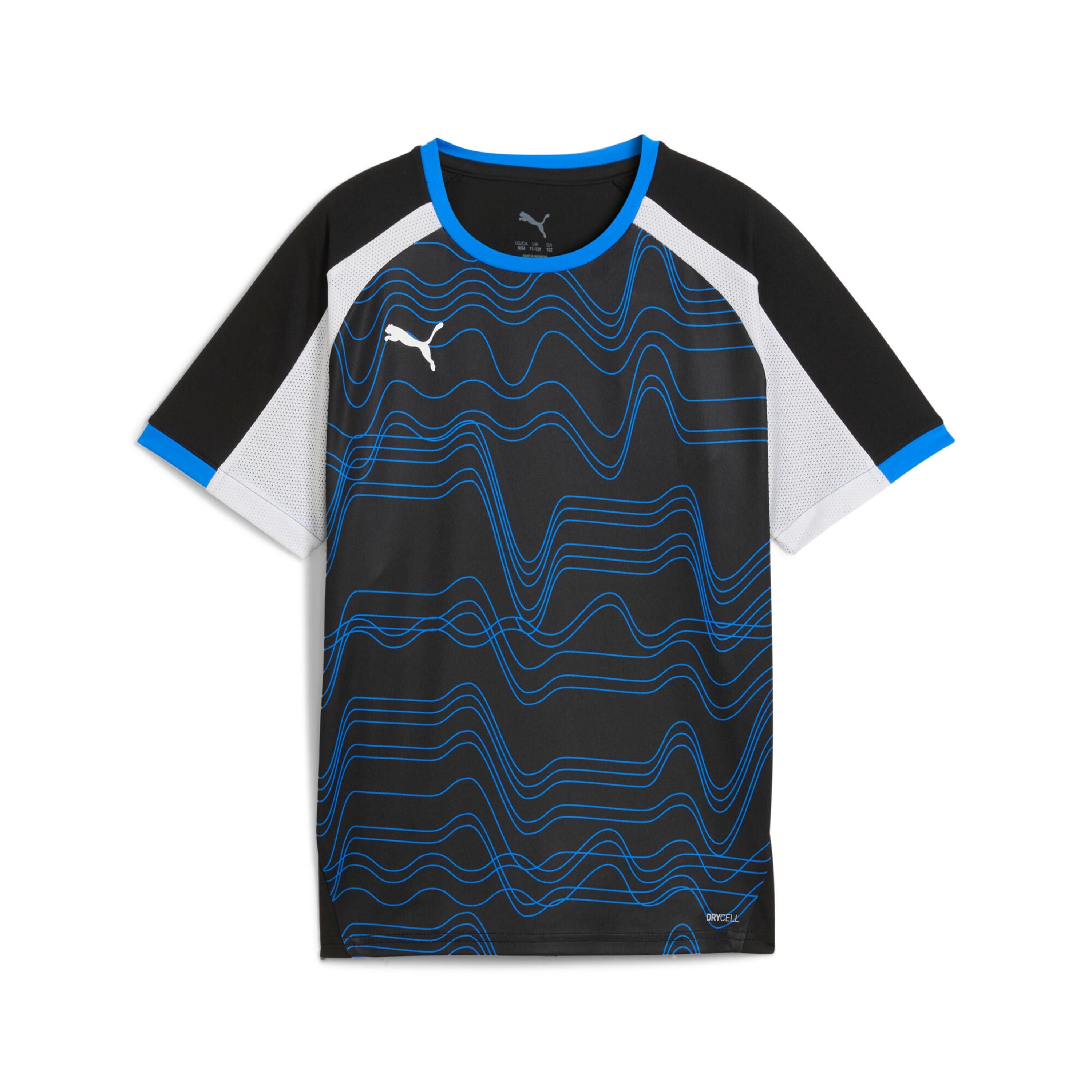 PUMA picture