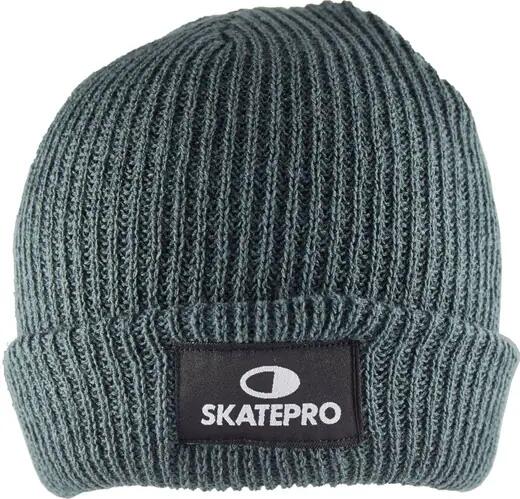 SKATEPRO picture