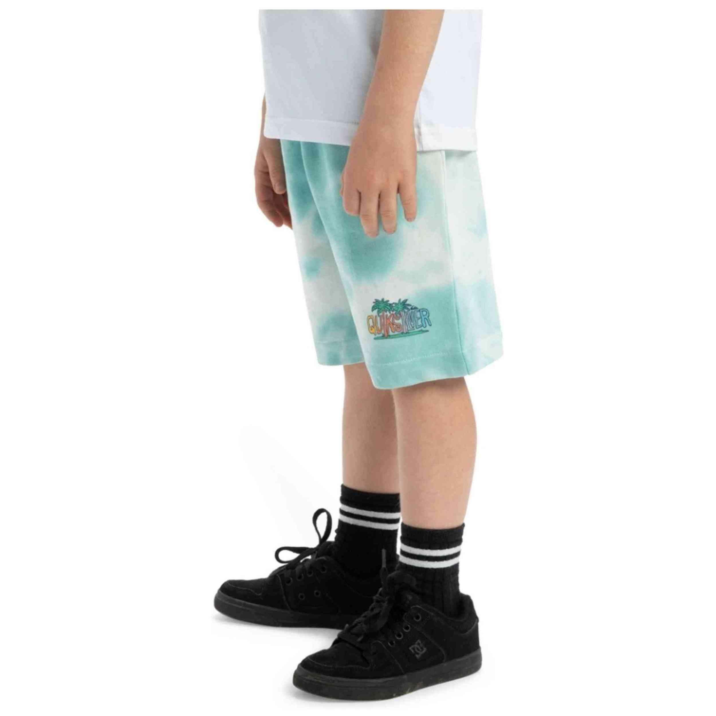 Pantaloncini Quiksilver modello EQKFB03121-BHA0 per ragazzi 4/4
