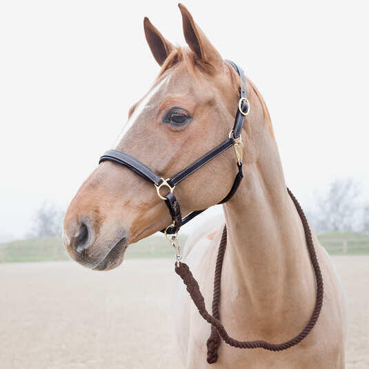 Lanyard with carabiner for horse Horze Price-Z 2/2