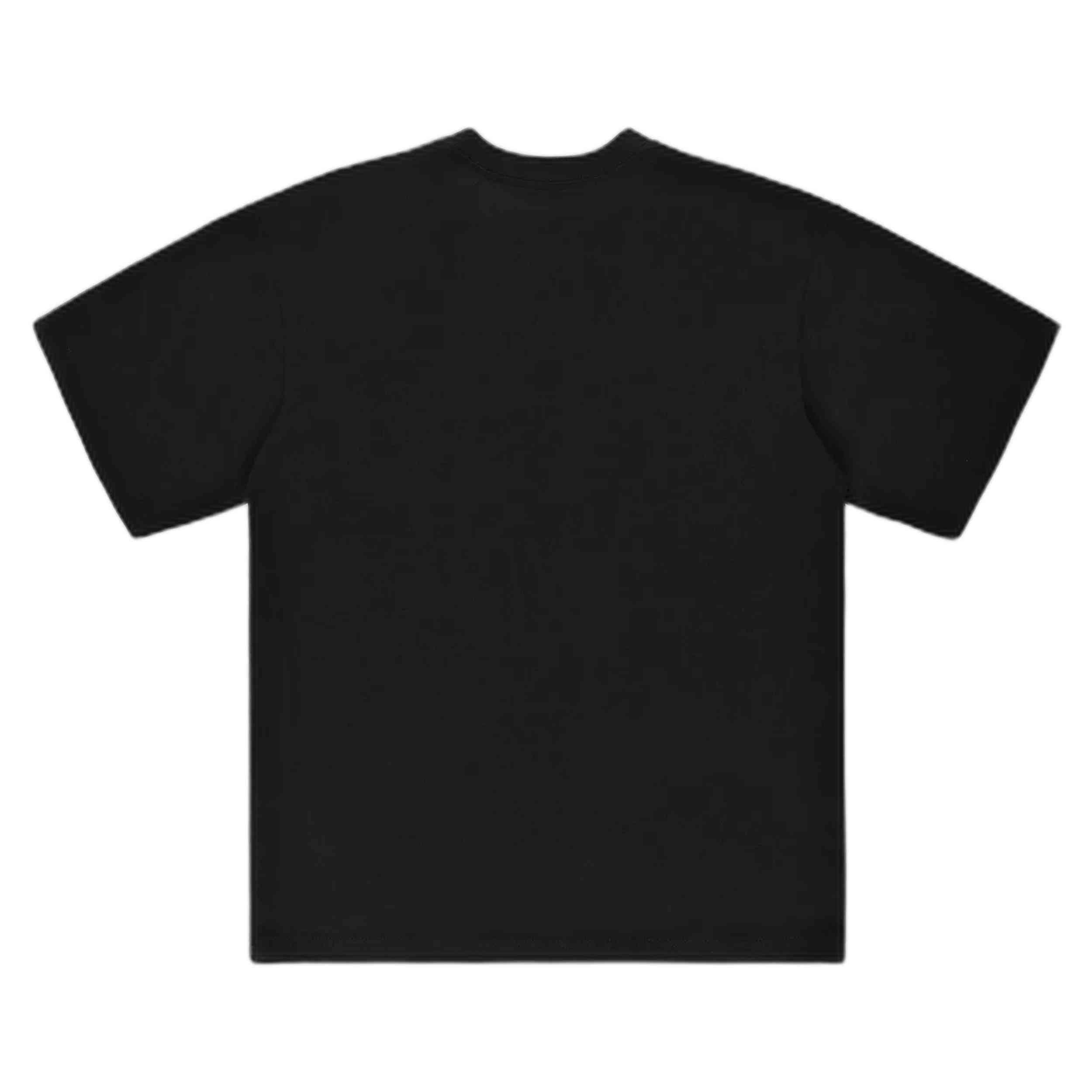 T-shirt Vans modèle VN000P56BLK1 pour homme 2/4
