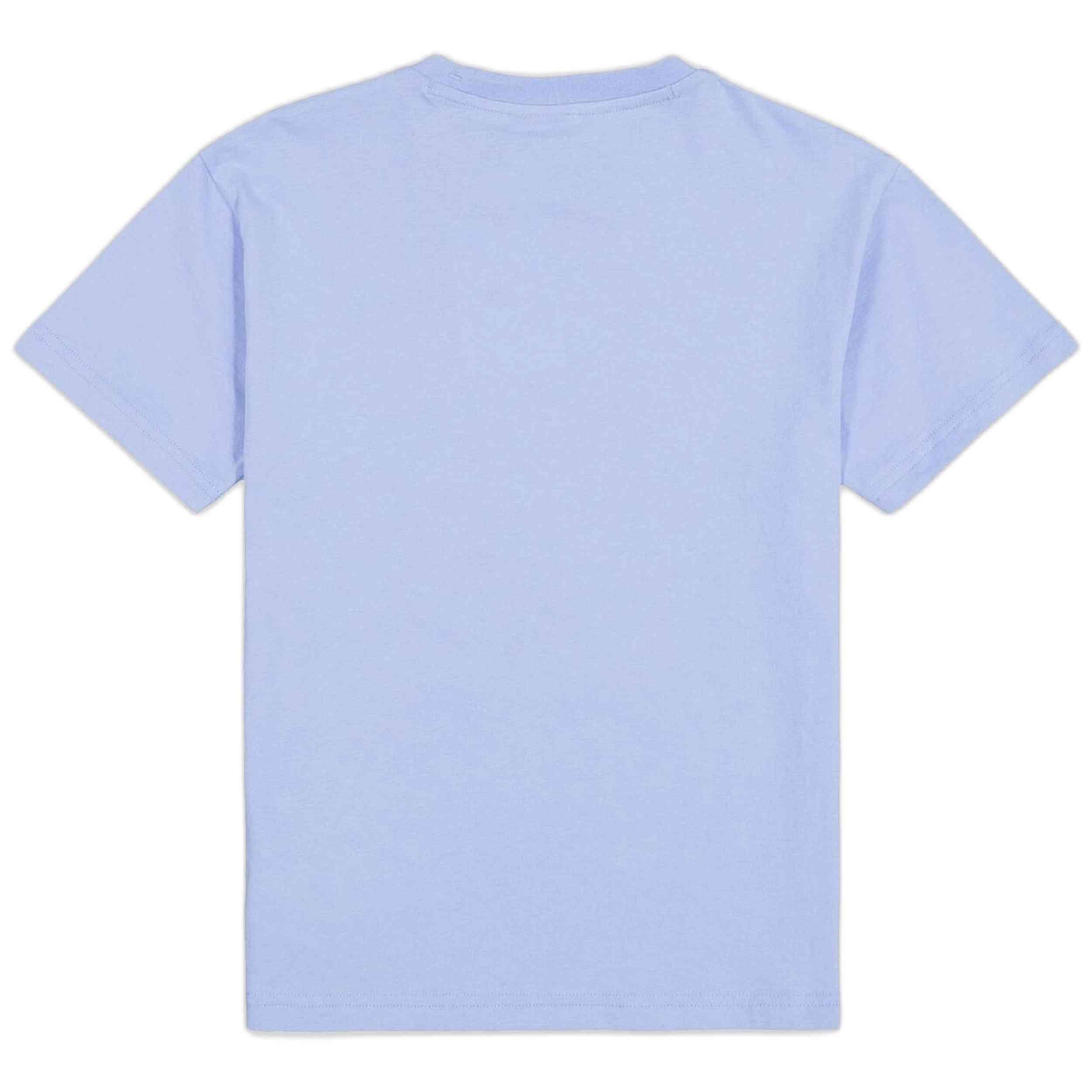 T-shirt Champion modèle 307110-BS186 pour enfants 3/3