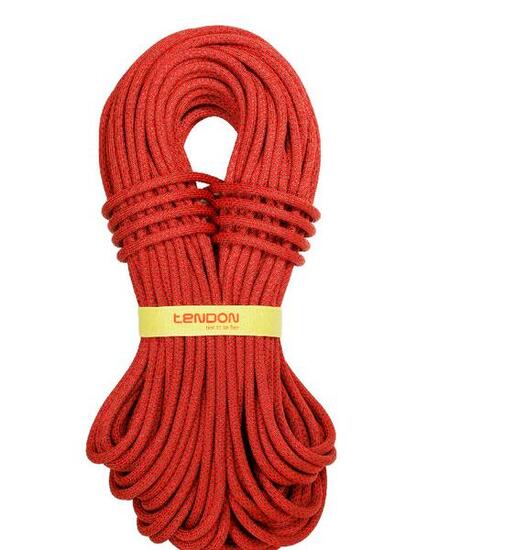 Corde d’escalade Tendon Ambition 10 mm légère SBS imbibée Complete Shield