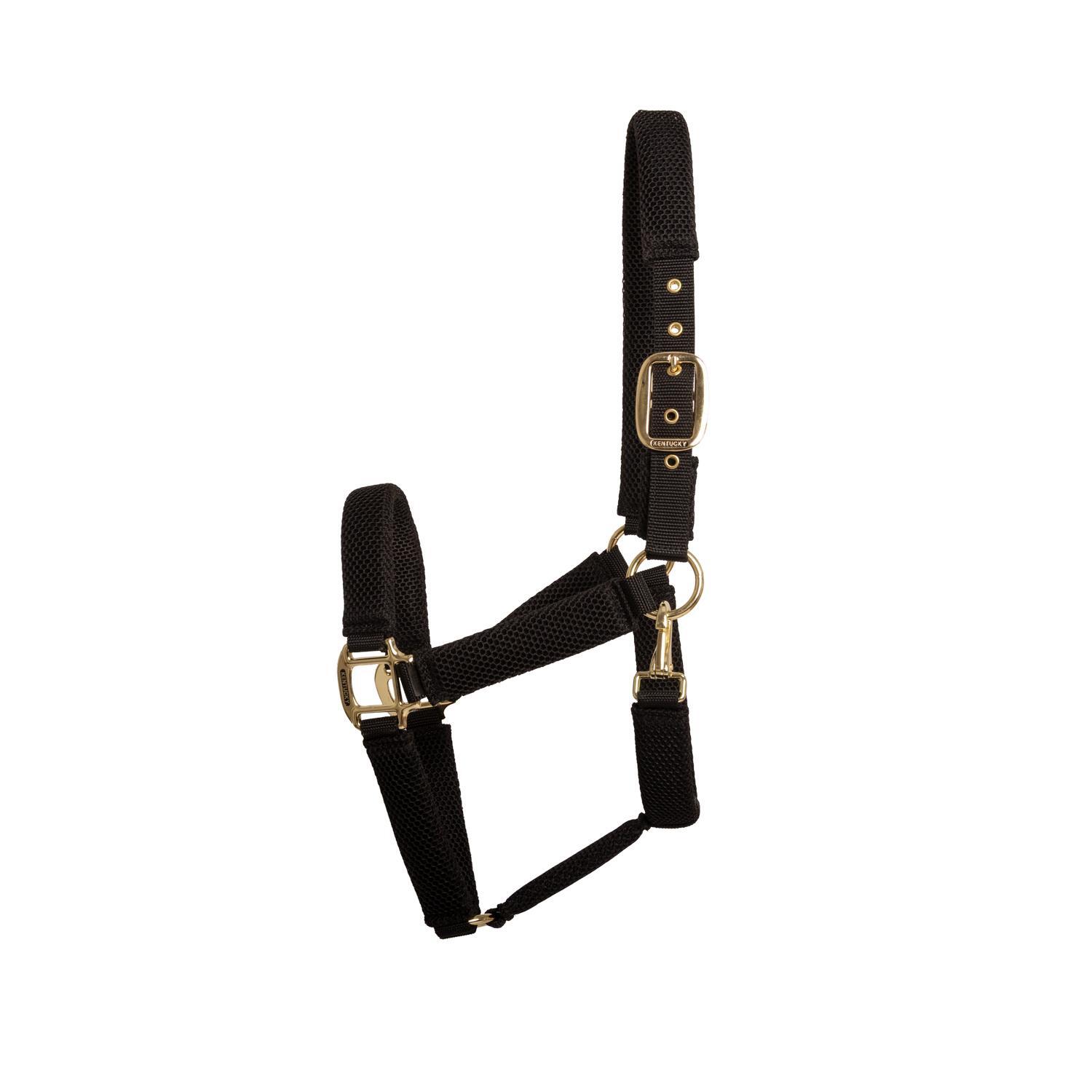 KENTUCKY HORSEWEAR picture