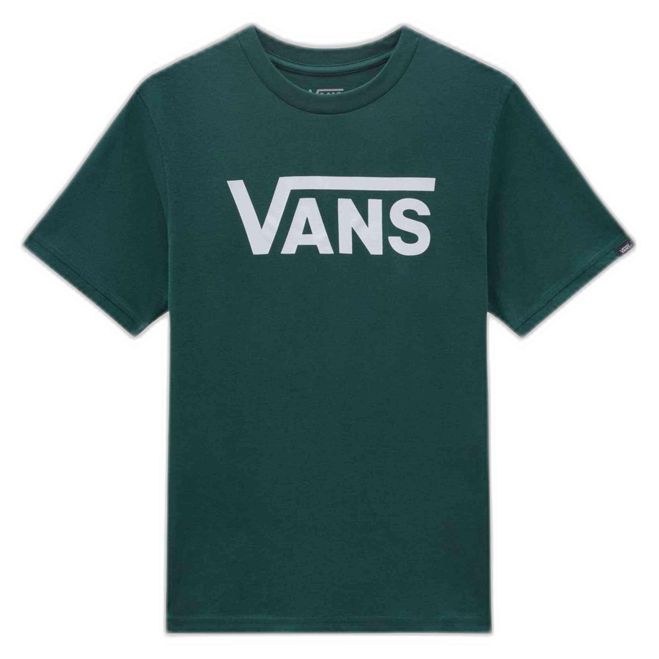 VANS picture