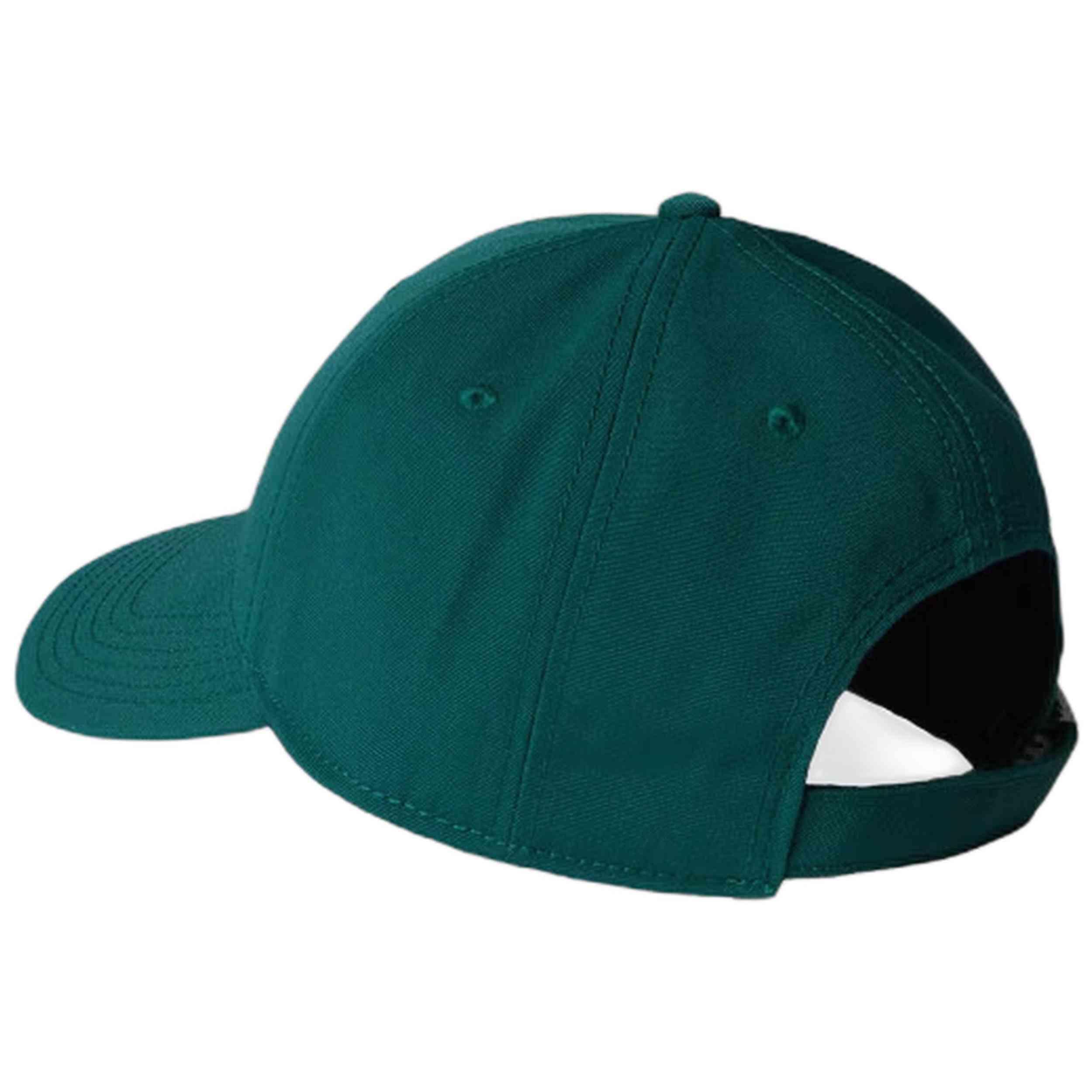 Casquette The north face modèle NF0A4VSVBM31 pour homme 2/2