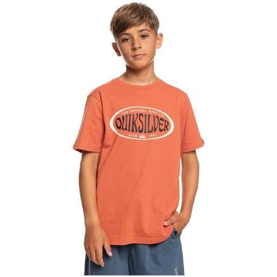 T-shirt met korte mouwen quiksilver model eqbzt04593-cms0 voor jongens