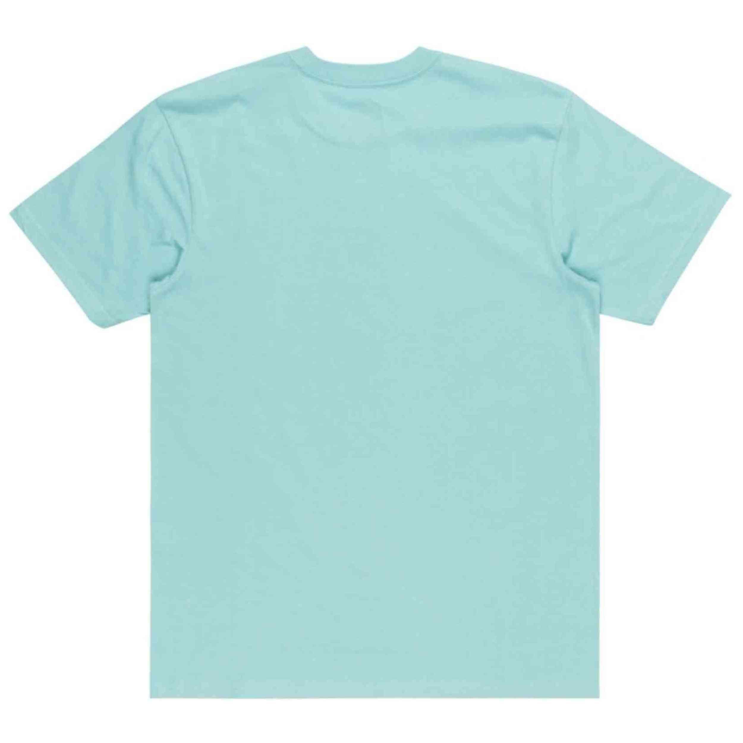 T-shirt Quiksilver modèle EQYZT07679-BHA0 pour homme 2/4