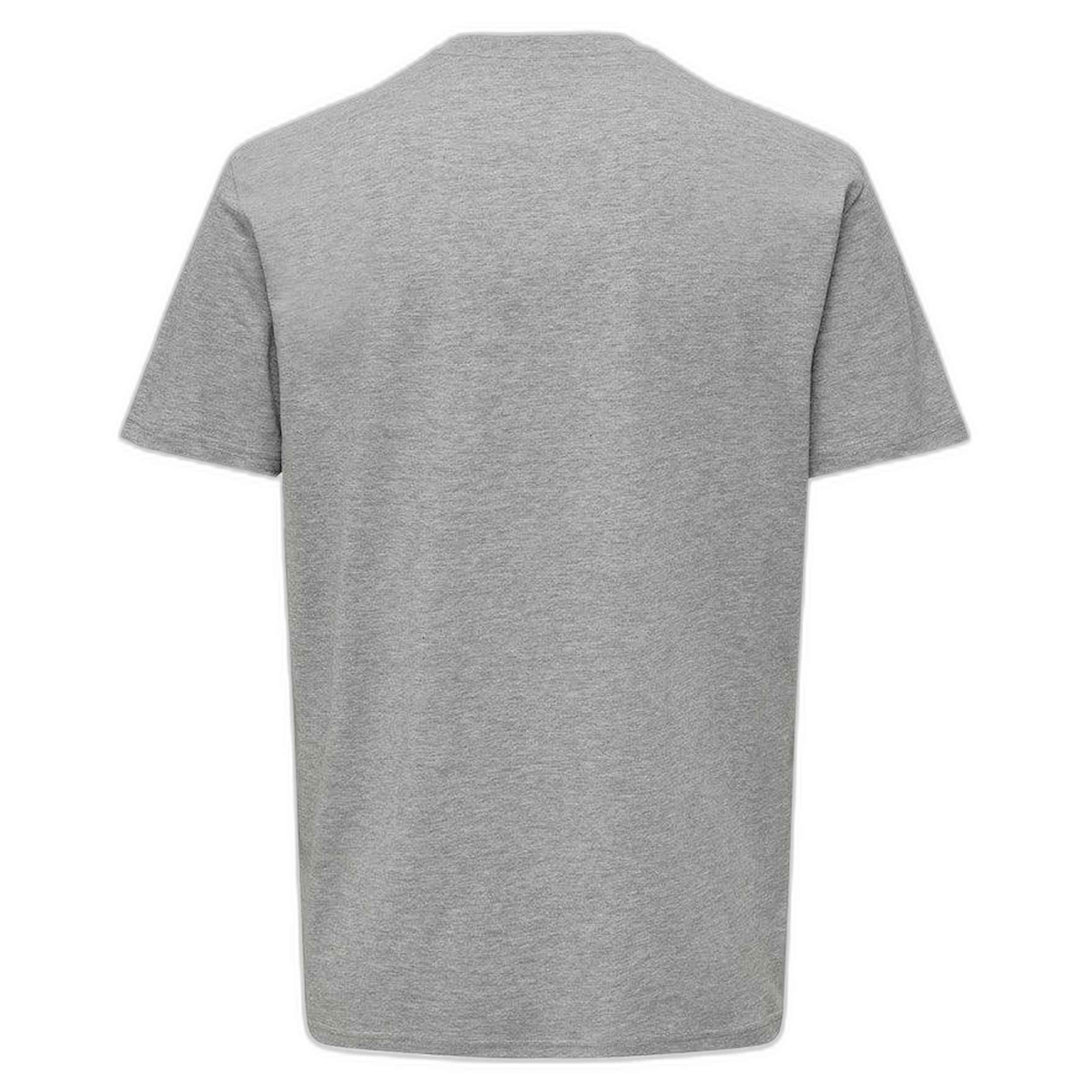 Maglia a maniche corte Only & sons modello 22028593-LIGHTGREY per uomini 2/2